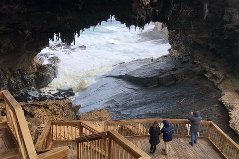 Kangaroo Island 4WD Tour - Best Of KI - Coogee Beach Accommodation 1