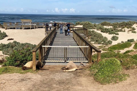 Kangaroo Island 4WD Tour - Best Of KI - Coogee Beach Accommodation 2
