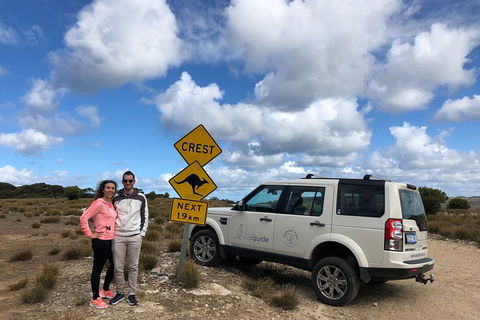 Kangaroo Island 4WD Tour - Best Of KI - Coogee Beach Accommodation 5