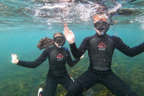 Manly Snorkel Trip And Nature Walk With Local Guide - Coogee Beach Accommodation 3