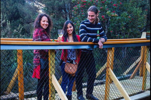 Sunset Experience - Coogee Beach Accommodation 2