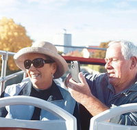 Kunanyi/Mt Wellington Tour  Hobart Hop-On Hop-Off Bus - Coogee Beach Accommodation