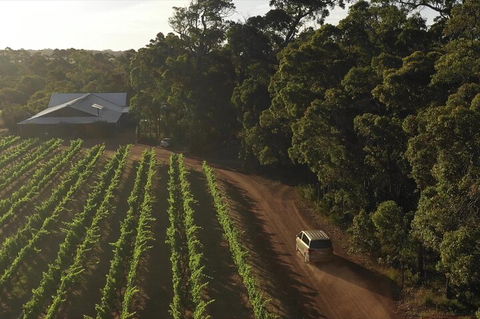 The All About Margaret River Tour: Wine, Coffee, Lunch And Forest - Coogee Beach Accommodation 1