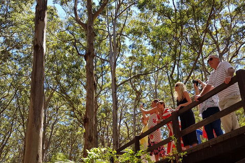 The All About Margaret River Tour: Wine, Coffee, Lunch And Forest - Coogee Beach Accommodation 3