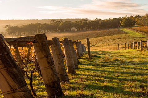 The All About Margaret River Tour: Wine, Coffee, Lunch And Forest - Coogee Beach Accommodation 5