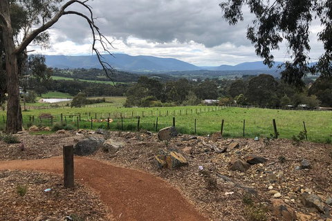 Yarra Valley Wine Tour Inc Lunch With A Glass Of Wine, Tastings And Chocolate - Coogee Beach Accommodation 0