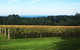 Yarra Valley Wine Tour Inc Lunch With A Glass Of Wine, Tastings And Chocolate - thumb 2