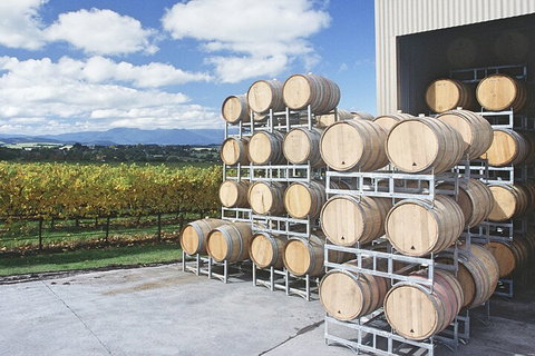 Yarra Valley Wine Tour Inc Lunch With A Glass Of Wine, Tastings And Chocolate - Coogee Beach Accommodation 4