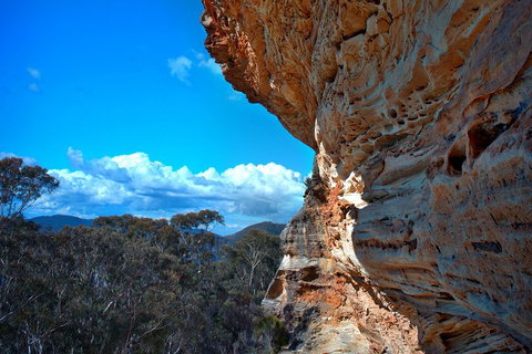 Unforgettable Blue Mountains Day Tour - Coogee Beach Accommodation 2