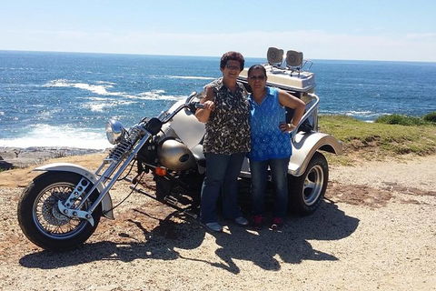 Bondi & Sydney Sights Trike Tour 1.5hrs - Coogee Beach Accommodation 1