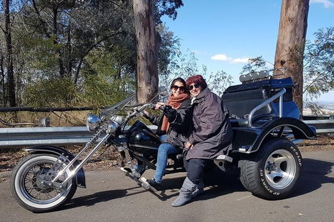 Bondi & Sydney Sights Trike Tour 1.5hrs - Coogee Beach Accommodation 3
