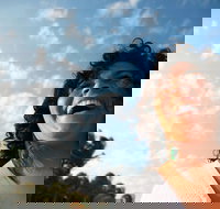 Hinterland Magic  Glow-worm Experience - Coogee Beach Accommodation