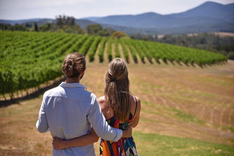 Yarra Valley Wine, Bubbles And Gin Tour! - Coogee Beach Accommodation 4