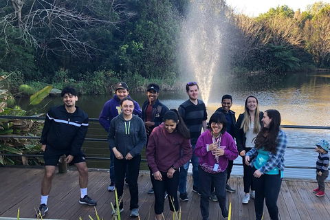 Natural Bridge, Skywalk And Mt Tamborine Adventure! - Coogee Beach Accommodation 4