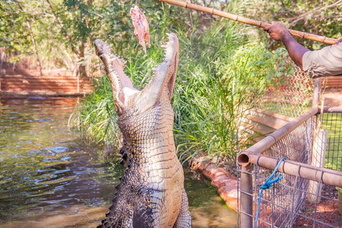Malcolm Douglas Crocodile Park Tour Including Transportation - Coogee Beach Accommodation 5