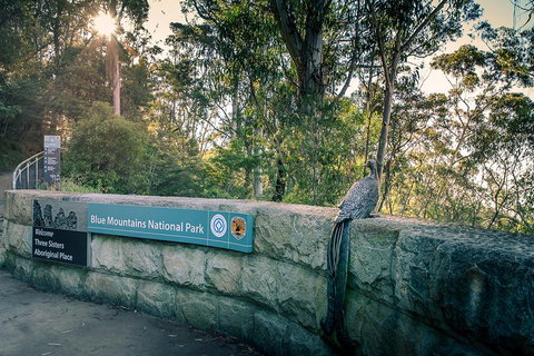 Ultimate Blue Mountains Waterfalls, Walks & Sunset PRIVATE Tour - Coogee Beach Accommodation 3