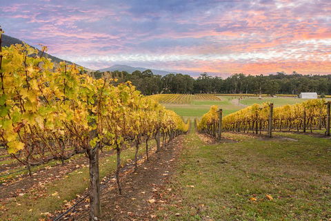 Yarra Valley Boutique Winery Tour From Melbourne - Coogee Beach Accommodation 3