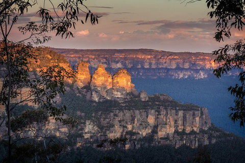 Private Blue Mountains Tour With Kangaroo And Koala Experience - Coogee Beach Accommodation 1