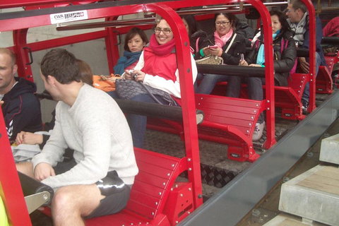 Full-Day Private Blue Mountains Tour With River Cruise - Coogee Beach Accommodation 0