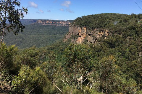 Full-Day Private Blue Mountains Tour With River Cruise - Coogee Beach Accommodation 1