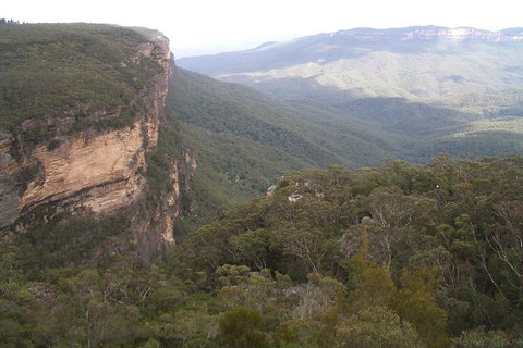 Full-Day Private Blue Mountains Tour With River Cruise - Coogee Beach Accommodation 3
