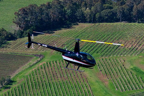 Hunter Valley Wine Country Helicopter Flight From Cessnock - Coogee Beach Accommodation 3