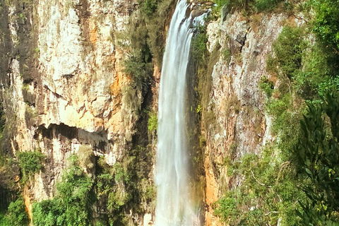Natural Arch, Rainforest & Volcano Canyon - Private Half Day Tour - Coogee Beach Accommodation 2