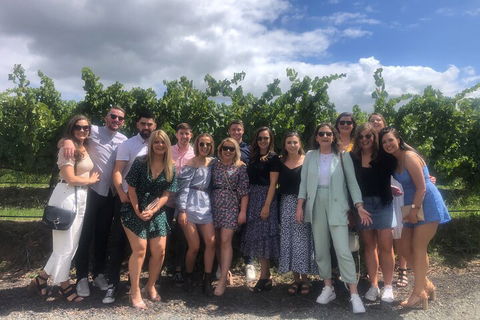 Yarra Valley Public Winery Tours - Coogee Beach Accommodation 3