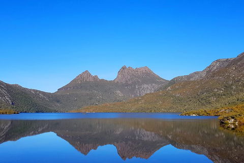 Tasmania 6 Day 'Tour In Circle' - Coogee Beach Accommodation 3