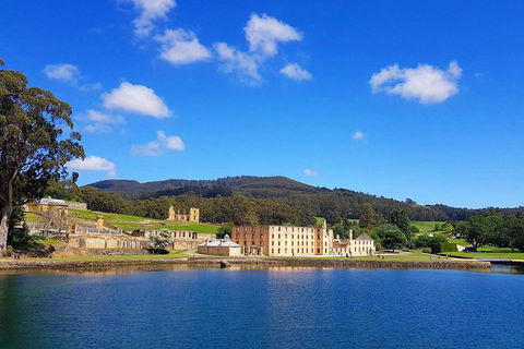 Tasmania 4 Day East Coast + Launceston - Coogee Beach Accommodation 0