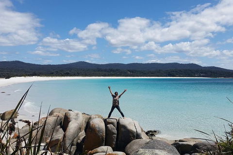 Tasmania 4 Day East Coast + Launceston - Coogee Beach Accommodation 1
