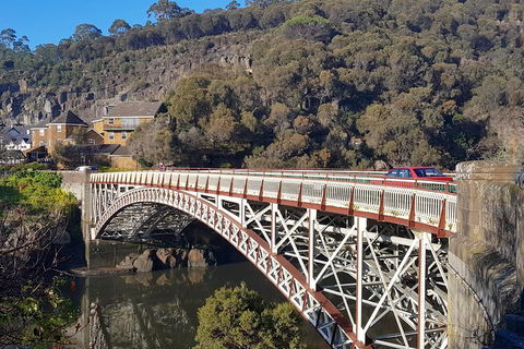 Tasmania 4 Day East Coast + Launceston - Coogee Beach Accommodation 5