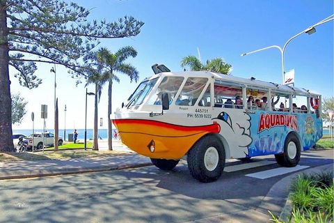 Aquaduck Sunshine Coast - Coogee Beach Accommodation 1