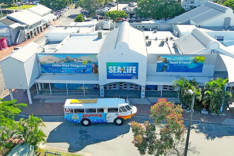 Aquaduck Sunshine Coast - Coogee Beach Accommodation 3