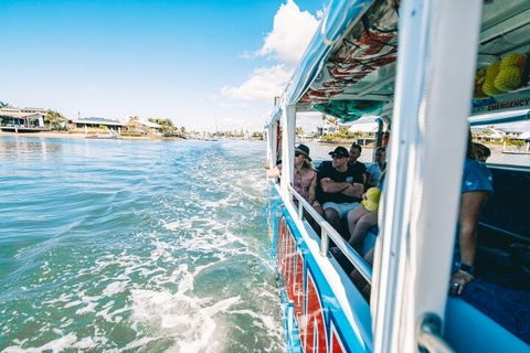 Aquaduck Sunshine Coast - Coogee Beach Accommodation 5