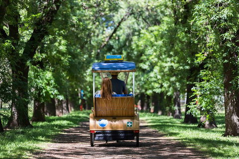 Adelaide 90-Minute Pedicab Tour: Scenic Green & River Experience - Coogee Beach Accommodation 2
