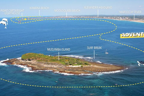 1.5HR Mudjimba Island Wildlife Safari - Coogee Beach Accommodation 1