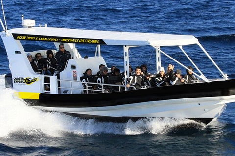 1.5HR Mudjimba Island Wildlife Safari - Coogee Beach Accommodation 2