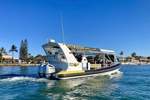 1.5HR Mudjimba Island Wildlife Safari - Coogee Beach Accommodation 4