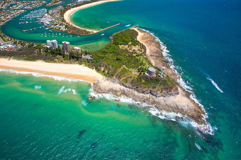 1.5HR Mudjimba Island Wildlife Safari - Coogee Beach Accommodation 5