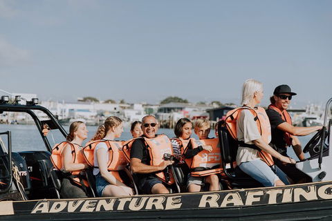 Adventure Whale Watching Tour Mooloolaba - Coogee Beach Accommodation 4