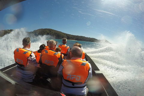 Noosa Thriller - 500hp Ocean Adventure Ride - Coogee Beach Accommodation 3