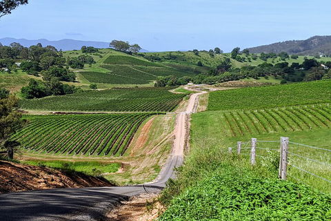 The Complete Hunter Valley Wine Tour Of Pokolbin, Mt View, Lovedale And Rothbury - Coogee Beach Accommodation 0