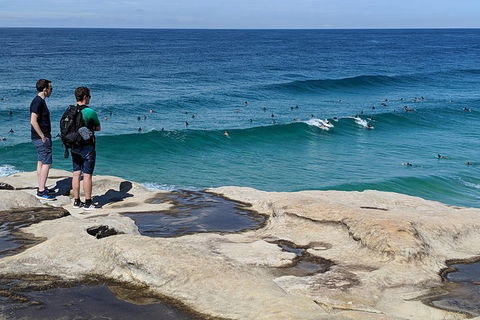 Sydney Secrets & Bondi Beach Private 4 Hr Morning With Personalised Sydney Tours - Coogee Beach Accommodation 2