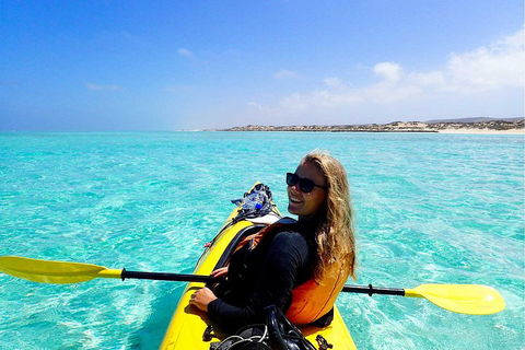 Lagoon Explorer - Ningaloo Reef Full-Day Kayaking And Snorkeling Adventure - Coogee Beach Accommodation 1