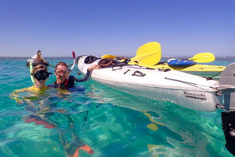 Lagoon Explorer - Ningaloo Reef Full-Day Kayaking And Snorkeling Adventure - Coogee Beach Accommodation 3