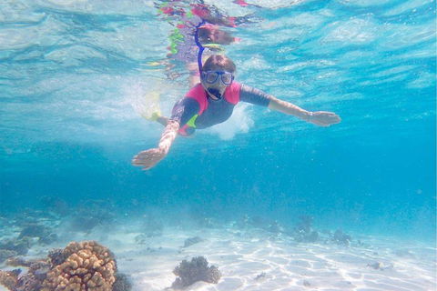 Lagoon Explorer - Ningaloo Reef Full-Day Kayaking And Snorkeling Adventure - Coogee Beach Accommodation 5