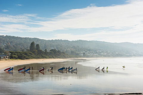 LGBT+ Friendly 12-Hour Great Ocean Road Private Tour - Coogee Beach Accommodation 2