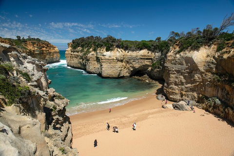 LGBT+ Friendly 12-Hour Great Ocean Road Private Tour - Coogee Beach Accommodation 5