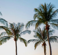 Darwin City Sightseeing Tour - Coogee Beach Accommodation
